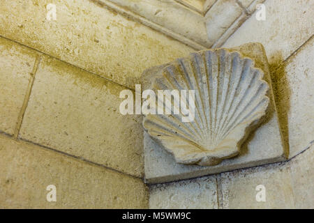 Sculpté dans un shell frise murale Banque D'Images