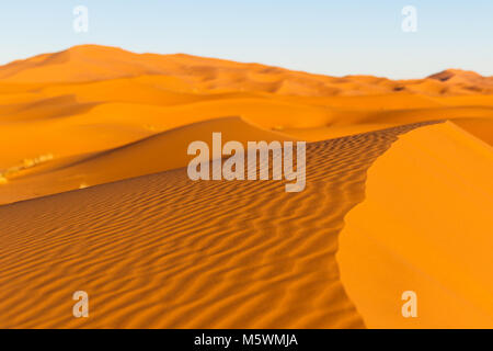 Les dunes du Sahara à Merzouga, l'Afrique, la grande dune de Merzouga Banque D'Images