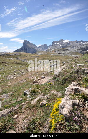 Vue sur les montagnes depuis les montagnes Cantabriennes, nord de l'Espagne. Premier plan des Rocheuses avec des plantes avec chaîne de montagnes, ciel bleu et nuages. Banque D'Images