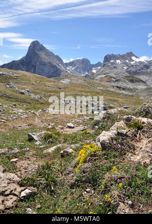 Vue sur les montagnes depuis les montagnes Cantabriennes, nord de l'Espagne. Premier plan des Rocheuses avec des plantes avec chaîne de montagnes, ciel bleu et nuages. Banque D'Images