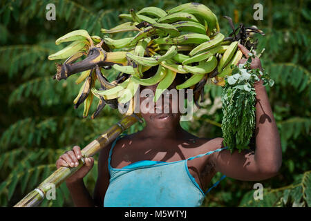 Un an après l'Ouragan Matthew ravagé certaines régions de Haïti, Marlene récoltes Depa bananes dans la communauté du bassin Hady. Banque D'Images