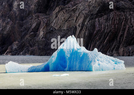 Iceburgs vêlé du Glaciar Gray flottent dans lac Grey ; Parc National Torres del Paine, Chili Banque D'Images