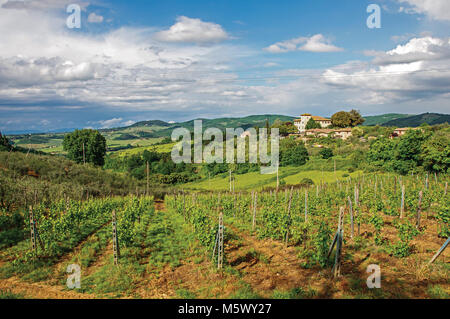 Vignes et collines avec villa en haut dans la campagne toscane, une région traditionnelle et dans le centre de la péninsule italienne. Banque D'Images