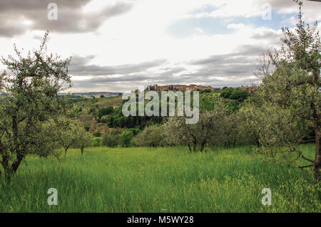 Vignes et collines avec villa en haut dans la campagne toscane, une région traditionnelle et dans le centre de la péninsule italienne. Banque D'Images