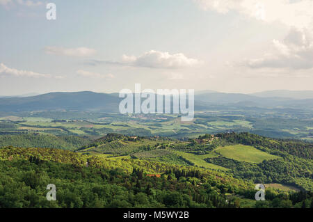 Voir des champs, des collines et des arbres au coucher du soleil dans la campagne toscane. Une incroyable et région traditionnelle dans le centre de la péninsule italienne. Banque D'Images