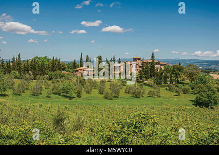 Voir d'oliviers, vignes et collines avec villa en haut dans la campagne toscane, une région traditionnelle dans le centre de la péninsule italienne. Banque D'Images