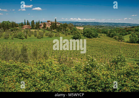 Voir d'oliviers, vignes et collines avec villa en haut dans la campagne toscane, une région traditionnelle dans le centre de la péninsule italienne. Banque D'Images