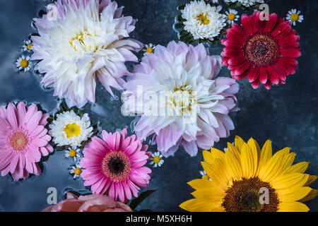 Différentes fleurs dans un bol d'eau Banque D'Images