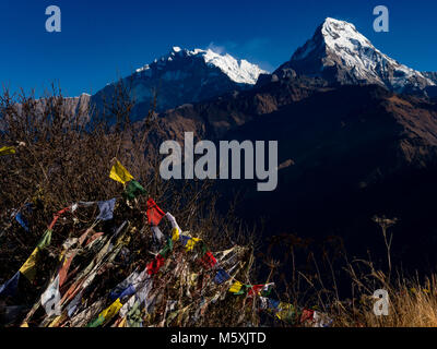 La vue imprenable sur la chaîne d'Annapurna de Poon Hill trekking au Népal, tout en Banque D'Images