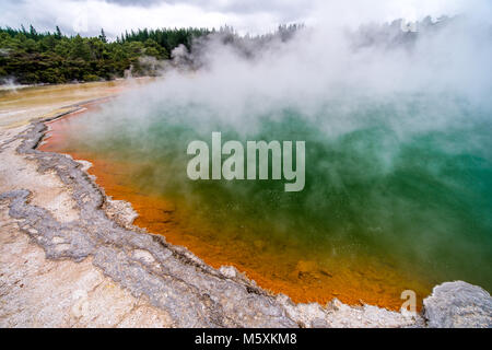 Paysage préhistorique avec des sources géothermiques, Rotorua, Nouvelle-Zélande Banque D'Images