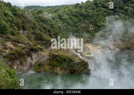 Paysage préhistorique avec des sources géothermiques, Rotorua, Nouvelle-Zélande Banque D'Images