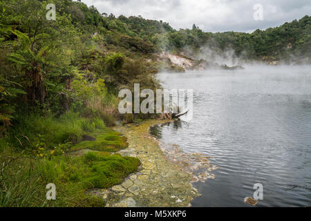 Paysage préhistorique avec des sources géothermiques, Rotorua, Nouvelle-Zélande Banque D'Images