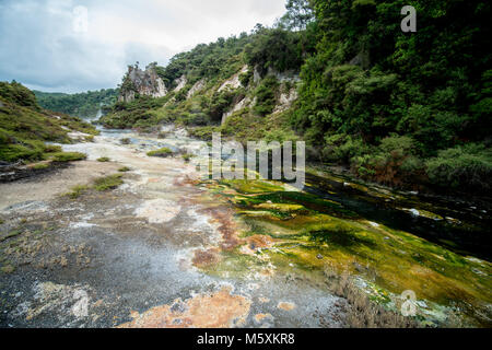 Paysage préhistorique avec des sources géothermiques, Rotorua, Nouvelle-Zélande Banque D'Images