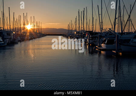 WASHINGTON - Une forêt de masques comme les couchers de soleil sur les montagnes olympiques comme les couchers de soleil sur Seattle's Shilshole Bay Marina. Banque D'Images