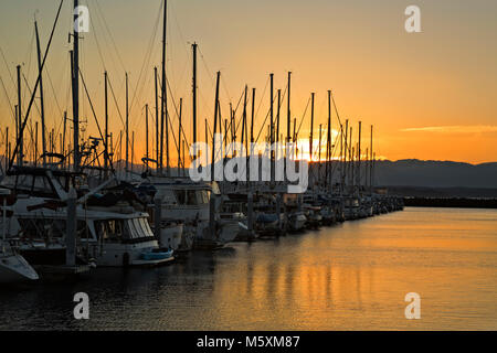 WASHINGTON - Une forêt de masques comme les couchers de soleil sur les montagnes olympiques comme les couchers de soleil sur Seattle's Shilshole Bay Marina. Banque D'Images