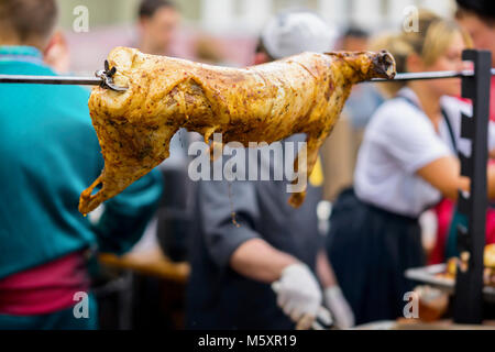 Carcasse de Mouton, cochon de lait sur la rotation avec le feu sur spit spit, barbecue. Pique-nique d'été, la nutrition, l'alimentation Banque D'Images