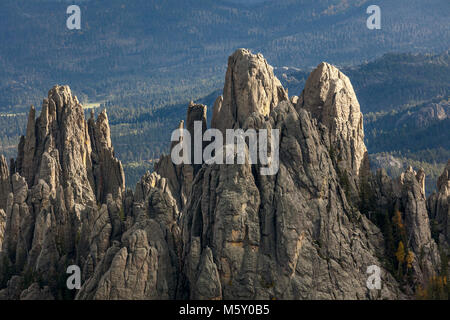 000387-00 SD...LE DAKOTA DU SUD - La Cathédrale Spires dans Custer State Park. Banque D'Images