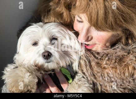 Femme avec chien de terrier maltais London UK Banque D'Images