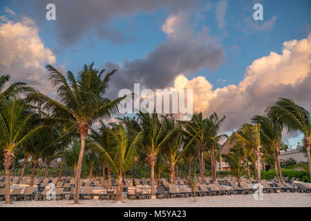 Puerto Maroma, Mexique, 22 février 2018. Chaises de plage sont encore vides en début de matinée, le soleil se lève à un Caribbean vacation resort Maroma sur Beac Banque D'Images