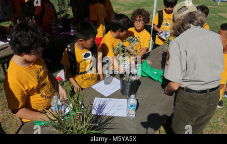 L'apprentissage de plantes sur le chemin à devenir un Junior. Maire Eric Garcetti, administrateur du comté Sheila Kuehl, et les membres du Conseil de la ville a contribué à coup de l'A.L. Lancement de la chaque enfant dans un parc le 15 octobre 2015 près de Santa Monica Mountains National Recreation Area. Près de 500 élèves de 4e ont participé à des activités éducatives et ont été récompensés avec un Ranger junior de badge et une passe annuelle pour toutes les terres fédérales. Banque D'Images