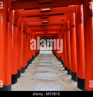 La colorée Kushida Shrine à Hakata, Fukuoka, Japon. Banque D'Images