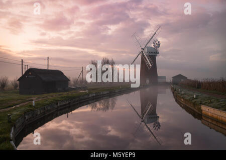 Horsey bazin dans les Norfolk Broads, à l'aube. Banque D'Images