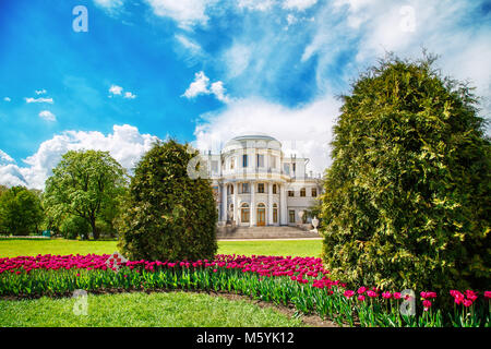 Festival des tulipes traditionnelles sur l'Île Elagin. Palais Elagin, Saint-Pétersbourg, Russie. Banque D'Images