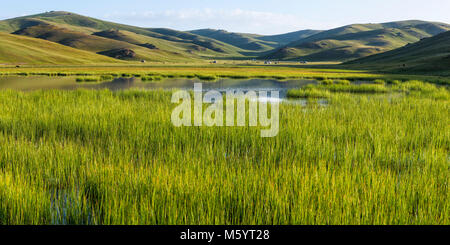 Reed le lac Song Kol, province de Naryn, du Kirghizistan, de l'Asie centrale Banque D'Images