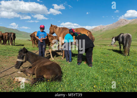 Couple de traire une mare nomades kirghizes sur les pâturages de montagne, lac Kol Chanson, province de Naryn, du Kirghizistan, de l'Asie centrale Banque D'Images