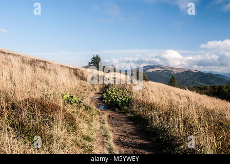 Automne Polonina Carynska avec sentier de randonnée, mountain meadow,Szeroki Wierch et Krzemien hills sur le contexte en Bieszczady en Pologne Banque D'Images