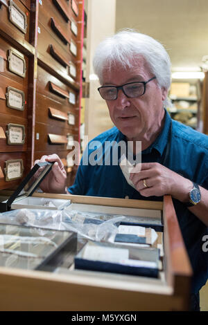 Un musée présente parmi les travailleurs et la collection des archives du musée d'histoire naturelle de stand à Brighton et Hove Banque D'Images