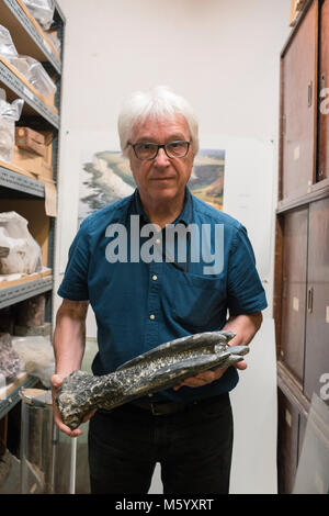 Un musée présente parmi les travailleurs et la collection des archives du musée d'histoire naturelle de stand à Brighton et Hove Banque D'Images