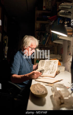 Un musée présente parmi les travailleurs et la collection des archives du musée d'histoire naturelle de stand à Brighton et Hove Banque D'Images