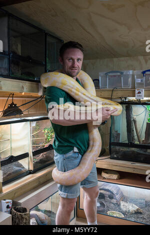 Une personne réelle montre et affiche leur collection de reptiles et de serpents de l'aquariums Banque D'Images