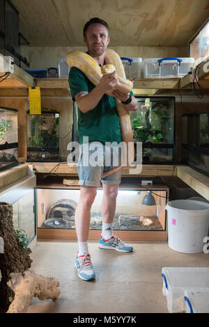 Une personne réelle montre et affiche leur collection de reptiles et de serpents de l'aquariums Banque D'Images