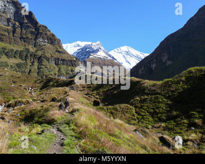 Sur le chemin de l'Annapurna Base Camp, Circuit de l'Annapurna Népal trekin Banque D'Images