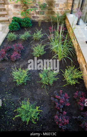 Petit coin de belle, paysagé, jardin privé avec un design contemporain et planté avec des arbustes et plantes - frontière Yorkshire, Angleterre, Royaume-Uni. Banque D'Images