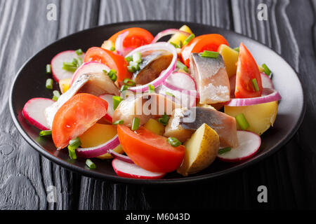 Salade de poisson fumé aux pommes : maquereau, radis, les oignons et les tomates sur une plaque sur une table horizontale. Banque D'Images