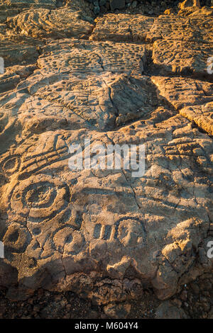 Hawaiian pétroglyphes sur les Rois Trail at Waikoloa, Kohala Coast, La Grande Île, New York USA Banque D'Images