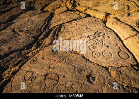 Hawaiian pétroglyphes sur les Rois Trail at Waikoloa, Kohala Coast, La Grande Île, New York USA Banque D'Images