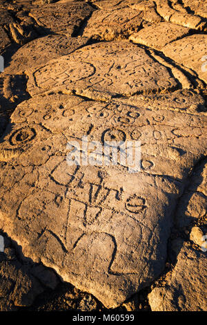 Hawaiian pétroglyphes sur les Rois Trail at Waikoloa, Kohala Coast, La Grande Île, New York USA Banque D'Images