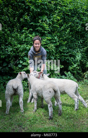 Une jeune femme s'occupe des agriculteurs et des flux tout en se posant avec quelques agneaux en croissance dans un champ sur sa ferme. Banque D'Images