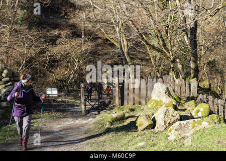 Les promeneurs sur la piste sentier à Aber Falls ou dans Coedydd Rhaeadr Fawr Aber Réserve naturelle nationale. Abergwyngregyn, Gwynedd, Pays de Galles, Royaume-Uni, Angleterre Banque D'Images