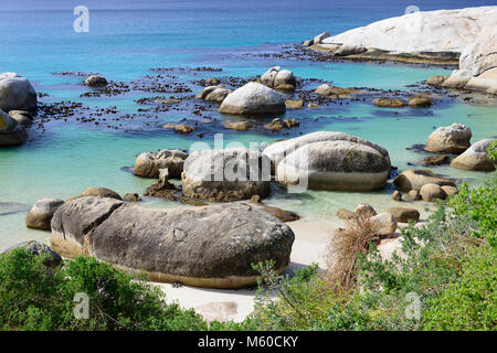 La plage de Boulders près de Simons Town, accueil de l'unité africaine (Spheniscus demersus) colonie. False Bay, Boulders Beach, Afrique du Sud Banque D'Images