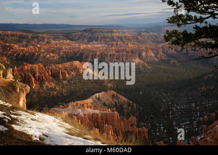 Bryce Canyon, Utah, au début du printemps Banque D'Images