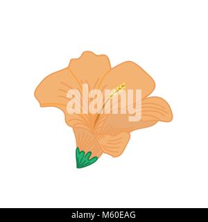 Hibiscus Orange Fleur tropicale Hand Drawn Illustration Illustration de Vecteur