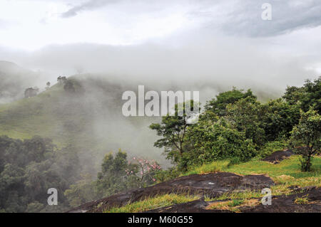 La forêt et les collines enveloppées par la brume et les nuages près de Joanopolis. Dans la campagne de l'État de São Paulo, une région riche en produits agricoles. Le Brésil. Banque D'Images