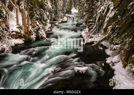 L'hiver, McKenzie River, Oregon Banque D'Images