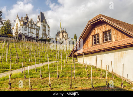 Vignobles au château de Meggenhorn, lac de Lucerne, Suisse Banque D'Images