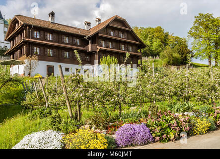 Vignobles au château de Meggenhorn, lac de Lucerne, Suisse Banque D'Images